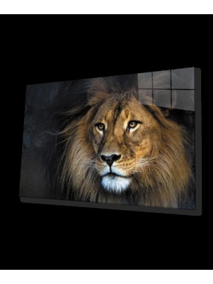 Aslan Cam Tablo