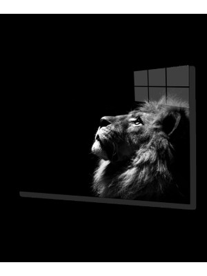 Miraaxx Aslan Cam Tablo