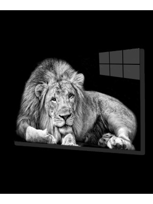 Aslan Cam Tablo