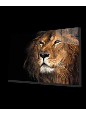 Aslan Cam Tablo