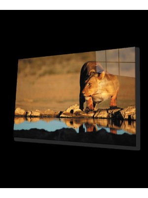Aslan Cam Tablo