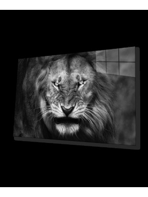 Aslan Cam Tablo