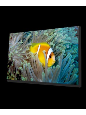 Sarı Balık Cam Tablo Yellow Fish