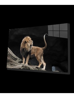 Aslan Cam Tablo