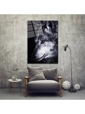 Miraaxx Kurt Cam Tablo