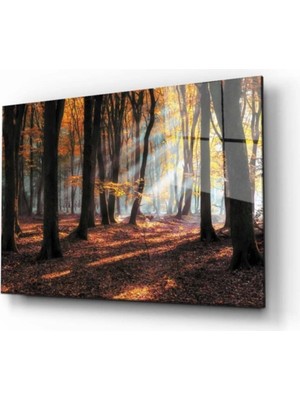 Miraaxx Doğa Manzara Cam Tablo 4mm Dayanıklı Temperli Cam
