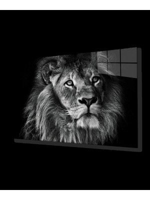 Aslan Cam Tablo
