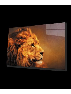 Aslan Cam Tablo