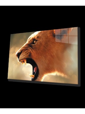 Aslan Cam Tablo