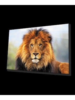 Aslan Cam Tablo