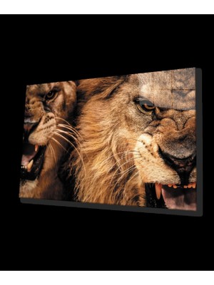 Aslan Cam Tablo