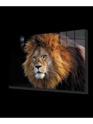 Aslan Cam Tablo