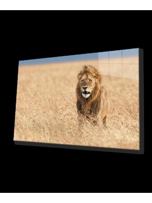 Aslan Cam Tablo