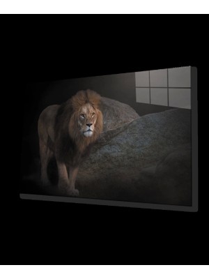 Aslan Cam Tablo
