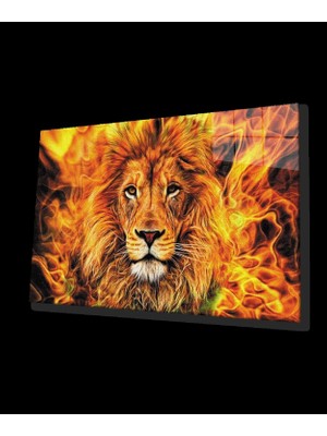 Aslan Cam Tablo