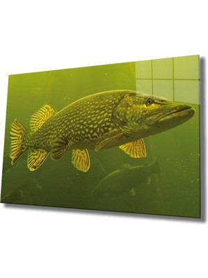 Yeşil Balık Cam Tablo Green Fish