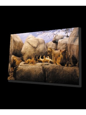 Aslan Cam Tablo