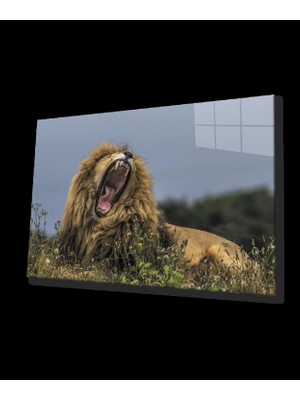 Aslan Cam Tablo
