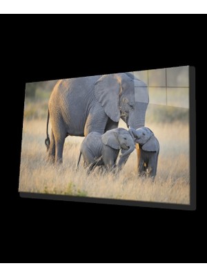 Hayvan Fil Cam Tablo