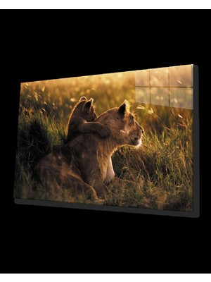 Aslan Cam Tablo