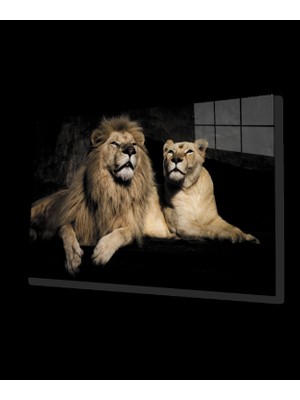 Aslan Cam Tablo