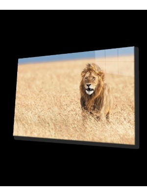 Aslan Cam Tablo