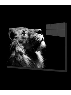Aslan Cam Tablo