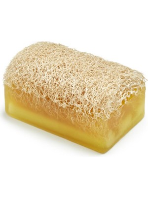 Tan Organik Kabak Lifli Sabun Eşek Sütlü 1 Adet