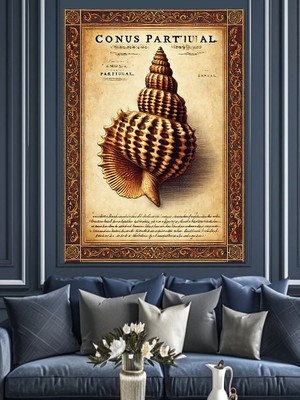 Deniz Kabuklu Koleksiyon Dekoratif Kanvas - Mdf Ahşap Tablo