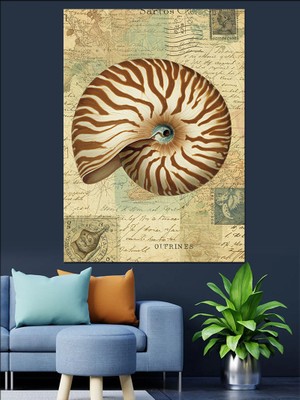 Deniz Kabuğu Çizimi Dekoratif Kanvas - Mdf Ahşap Tablo