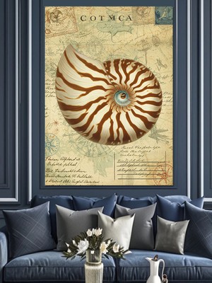 Deniz Kabuğu Spirali Dekoratif Kanvas - Mdf Ahşap Tablo