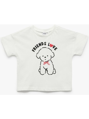 Koton Pamuklu Kısa Kollu Bisiklet Yaka Baskılı Tişört