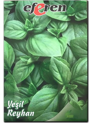 Bykurt Sunagri Yeşil Reyhan Tohumu - Aromatik, Sinek Kovucu, Tek Yıllık, Bahçe ve Saksı İçin