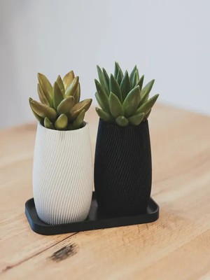 Modern Sukulent Saksı