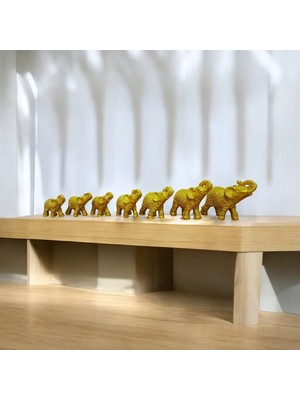 7 Li Fil Biblo Seti Gold