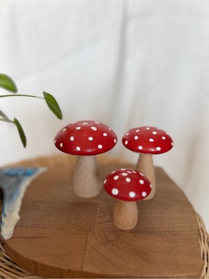 Ahşap Dekoratif Mantar