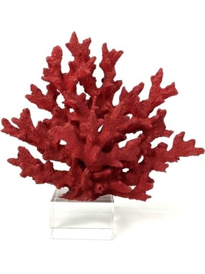 Teknotrust Kristal Kaideli Mercan