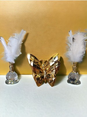 Teknotrust Dekoratif Ikili Kelebek ve Tekli Tüy Seti