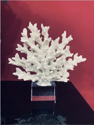 Kristalli Mercan Biblo