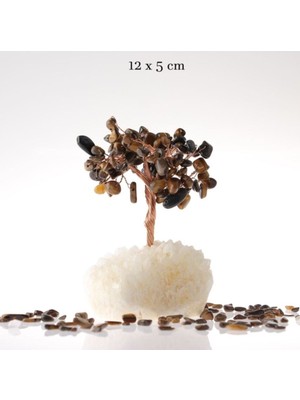 Sertifikalı Kaplan Gözü, Kristal Kuvars Doğaltaş Ağaç 12X5 Cm, D025