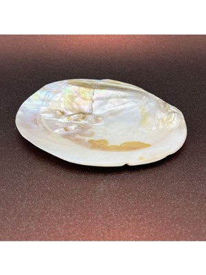 Istiridye Sedef Deniz Kabuğu Kase