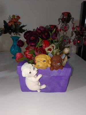 Teknotrust Köpekli Saksı