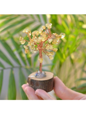 Teknotrust Sitrin Taşı Ağaç