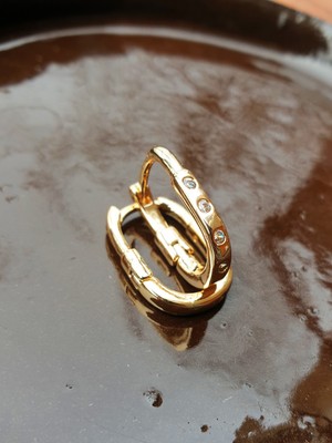 Gold Zirkon Taş Süslemeli J Model Kadın Şık Halka Küpe