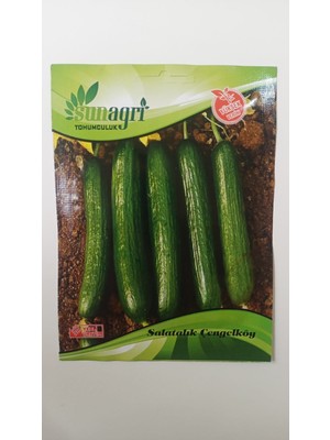 Bykurt Sunagri Çengelköy Salatalık Tohumu - 5 gr | Lezzetli, Bol Verimli