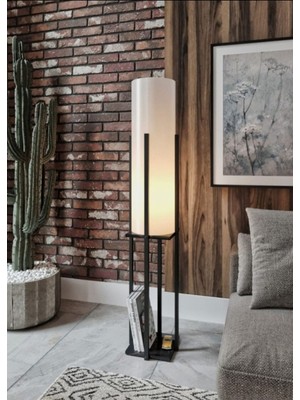 Teknotrust Aynurabajur Raflı Lambalardır