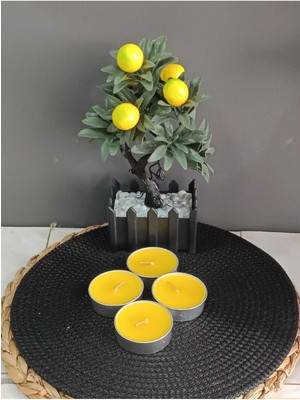 Narenciye Kokulu Sarı Renkli % 80 Sinek Kovuculu Maxi Boy Tealight Mum 4 Adet Maxisinek