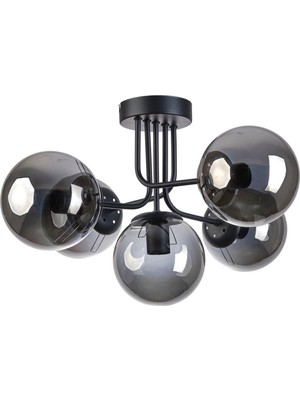 Teknotrust Picasso Modern Tasarım Salon Mutfak Yatak Odası Siyah Renk Füme Camlı 5 Li Avize