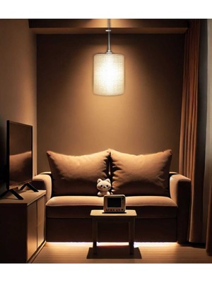 Teknotrust Sade Şık Yatak Odası ve Mutfak Için Avize