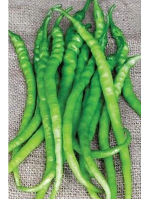 Royaleks Acı Kıl Biber Tohumu 10 Gr
